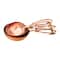 Hello Honey® Hammered Stainless Steel Scoops with Leather Tie Set
